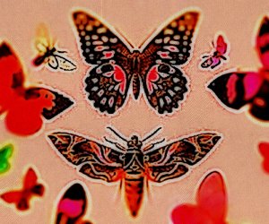 Loopatronica : Demo’s / Pollinator and&nbsp;Friends