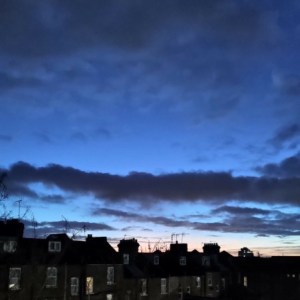 Tomoroh Hidari : 12 Months of&nbsp;Mornings